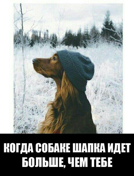 г 1 ЮдА БВБА ШАПКА ИДЕТ БШЬШЕ ЧЕМ ТЕБЕ
