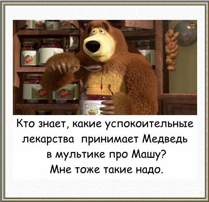 Кто знает какие успокоительные лекарства принимает Медведь в мультике про Машу Мне тоже такие надо