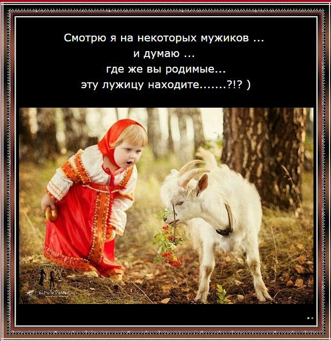 Смотрю я на некоторых мужиков и думаю где же вы родимые эту пужицу находите