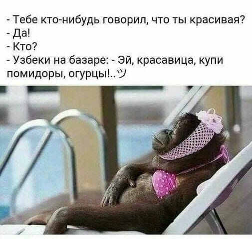 Тебе кто нибудь говорил что ты красивая Да Кто Узбеки на базаре Эй красавица купи помидоры огурцыУ