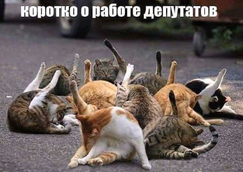 г очи о работе депутатов