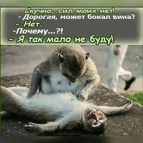 Доротя мсжет бокал вина Нет Почему Я так ало не бду