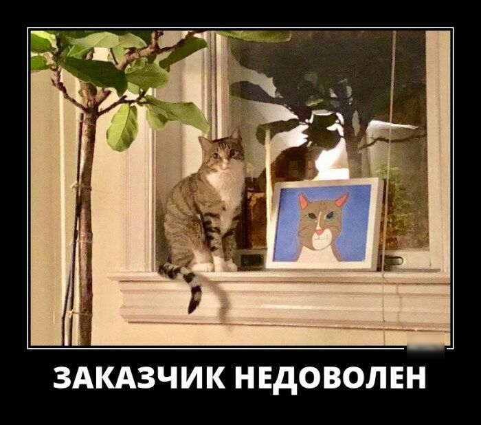 ЗАКАЗЧИ К Н ЕдОВОЛЕН
