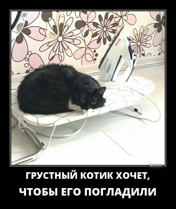 ГРУСТНЫЙ КОТИК ХОЧЕТ ЧТОБЫ ЕГО ПОГЛАдИЛИ