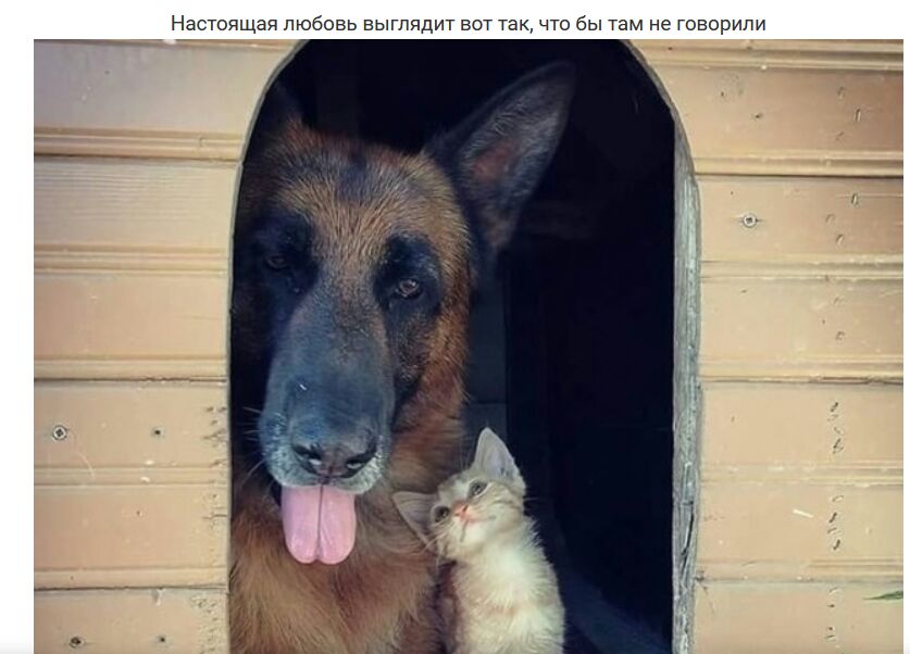 Настоящая любовь выглядит вот так что бы там не говорили