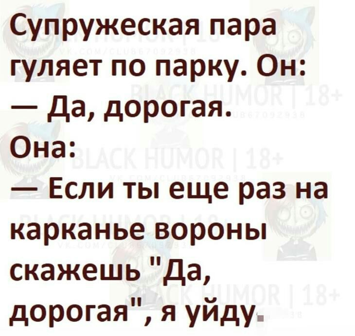 Супружеская пара гуляет по парку Он да дорогая Она Если ты еще раз на карканье вороны скажешь да дорогая я уйду