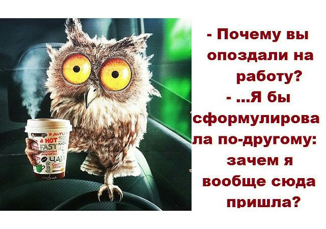 Почему вы опоздали на работу Я бы сформулирова па по другому зачем я вообще сюда пришла
