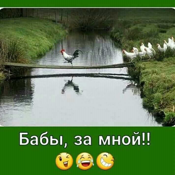 Бабы за мной ФЭО
