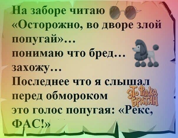 а оре читаю торожно во дворе злой _ опугай понимаю что бред к захожу Последнее что я слыш перед обмороком 69 это голос попугая Рекс ФСШ _