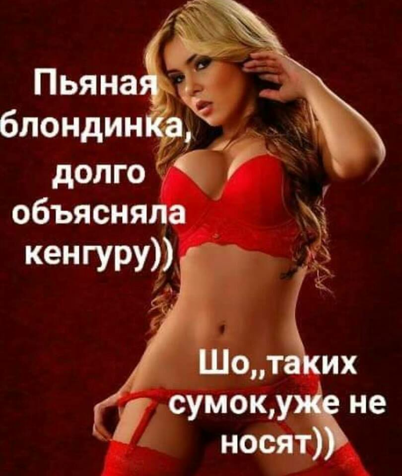 блондин долго объясняла кенгуру