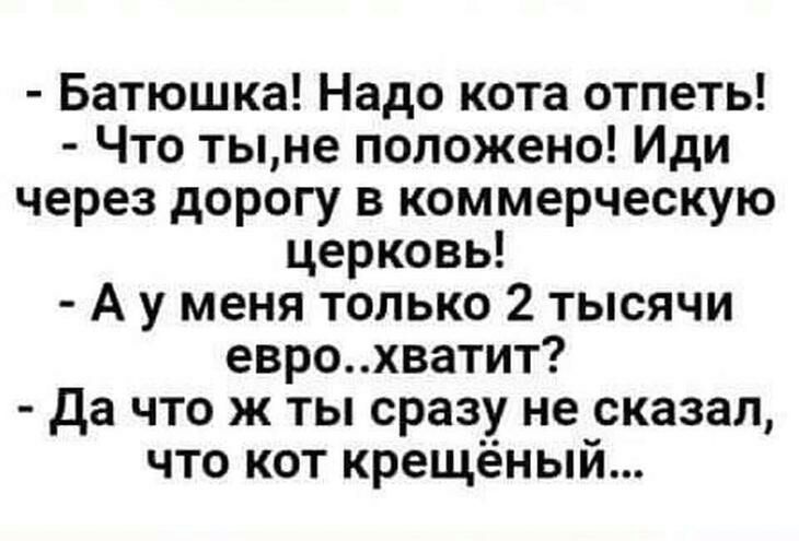 Батюшка Надо кота отпеть Что тыне положено Иди через дорогу в коммерческую церковь А у меня только 2 тысячи еврохватит да что ж ты сразу не сказал что кот крещёный