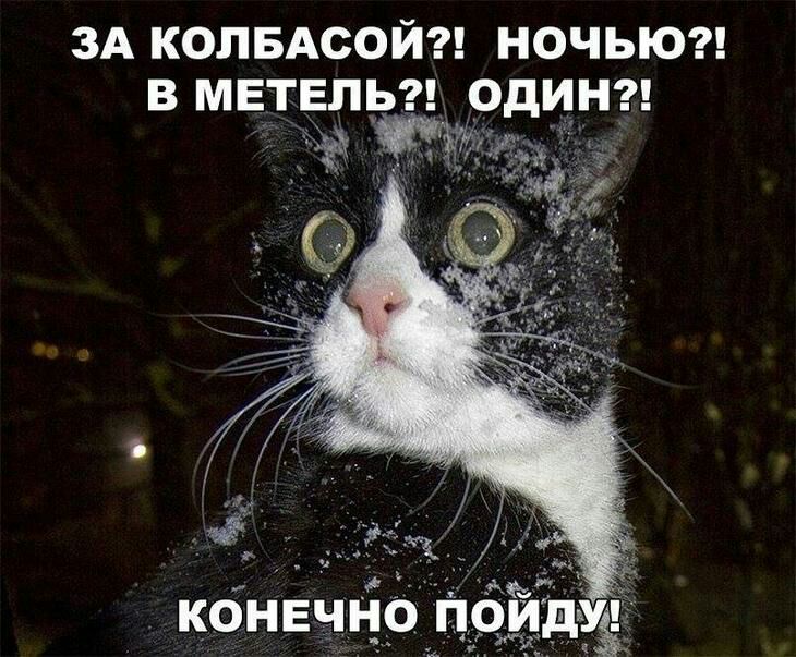 ЗА КОПБАСОЙ НОЧЬЮ в метель один
