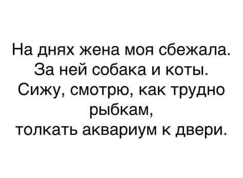 На днях жена моя сбежала За ней собака и коты Сижу смотрю как трудно рыбкам толкать аквариум к двери