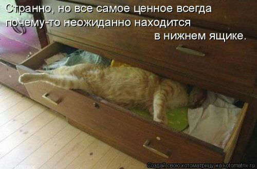 все самое ценное всегда вожиданно находится в нижнем ящике