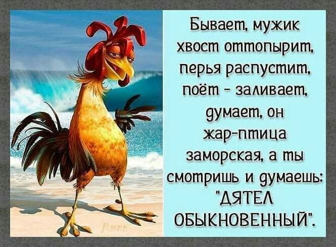 Бывает мужик хвост оттопырит перья распустит поёт заАивает 9умает он жарптица заморская а ты смотришь и 9умаешь АЯТЕА ОБЫКНОВЕННЫЙ