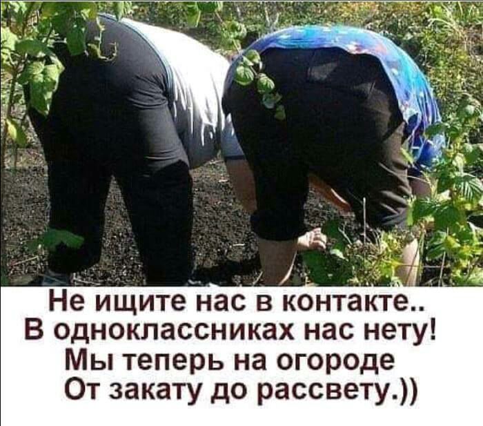 Не ищите нас в контакте В одноклассниках нас нету Мы теперь на огороде От закату до рассвету