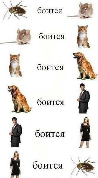 боится _Ё ___Ё боится Ъ Ъ д 3 Я боится боится