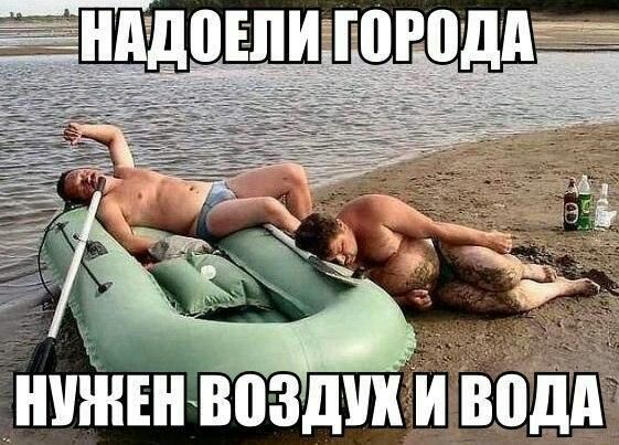 ШШШ 803д Иіводд