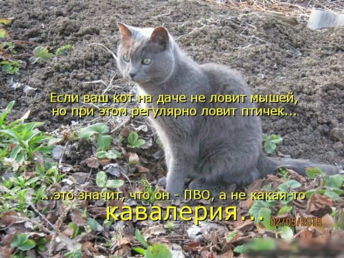 даче не лових ярно ловит