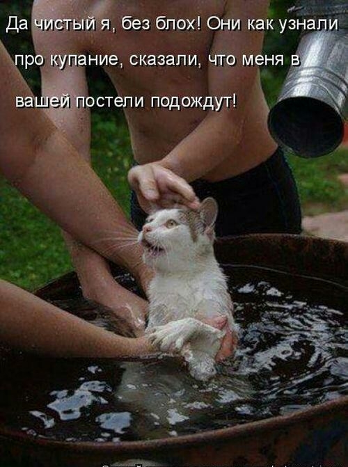 без бпох Они как узна ение сказали чтв меня