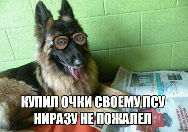 шпиплчни евоцмуцв НИРАЁНШПШЁЛШЬ
