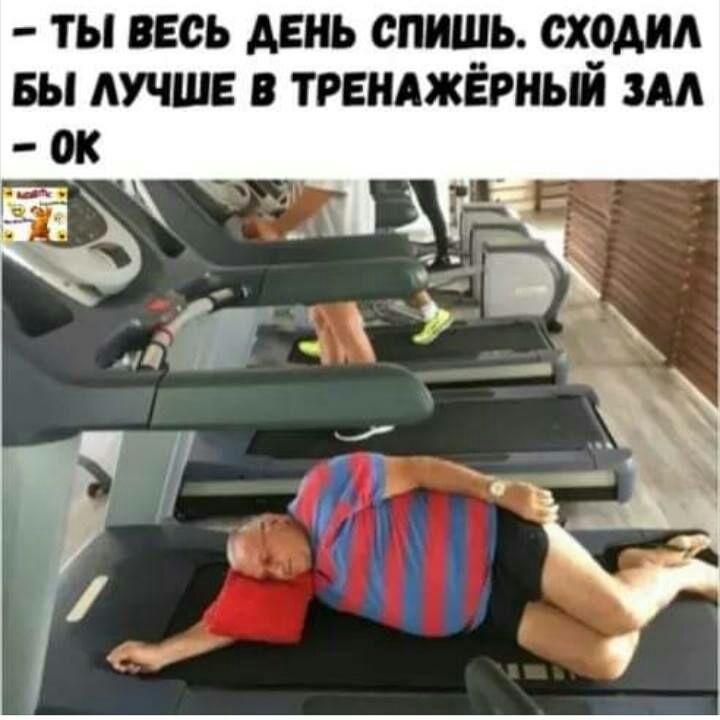 ТЫ ВЕСЬ ДЕНЬ спишь СХРАИА БЫ АУЧШЕ В ТРЕНАЖЁРНЫИ ЗАЛ