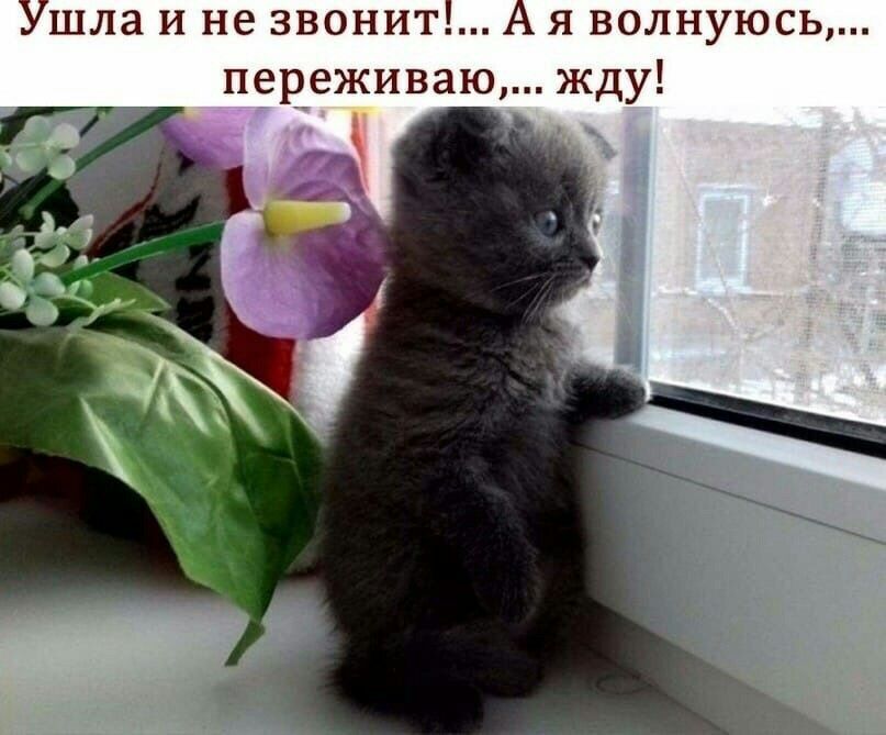 Ушла и не 3вонит А я волнуюсь переживаю жду
