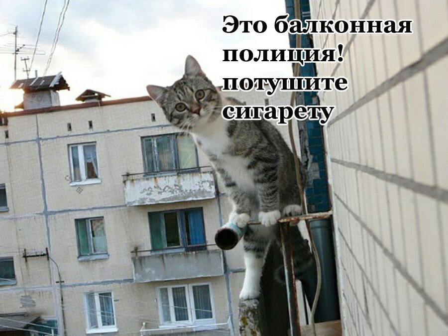 Это бЁЛК0нЬая _ полиция _ ту