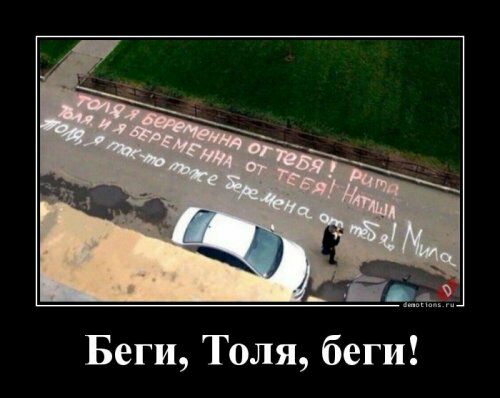 Беги Толя беги