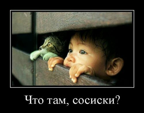 Что там сосиски