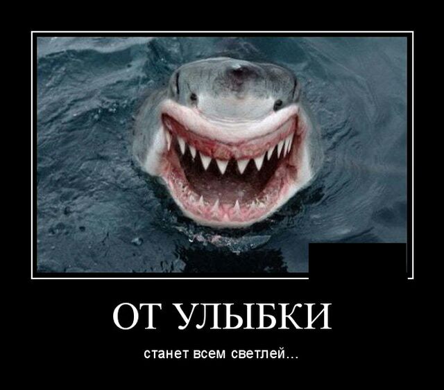 ОТ УЛЫБКИ СТЗНЕТ всем светлей
