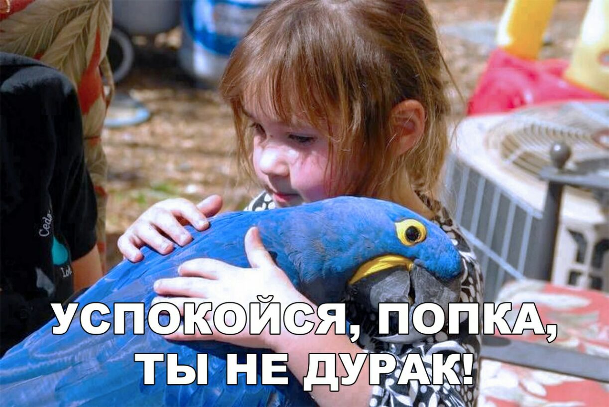64 ТЫ НЕ ДУРАК З і