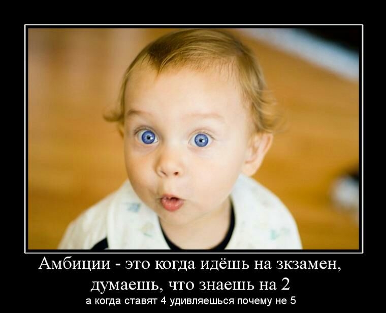 Амбиции это когда идёшь на экзамен думаешь что знаешь на 2 а когда ставят 4 удивляешься почему не 5
