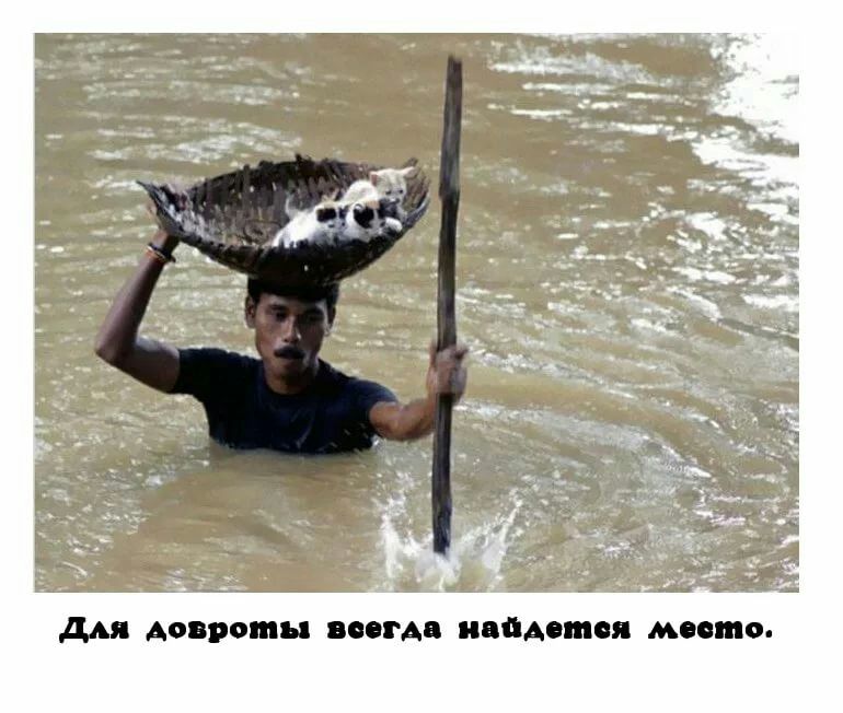 дми допрошы всегда найдется место