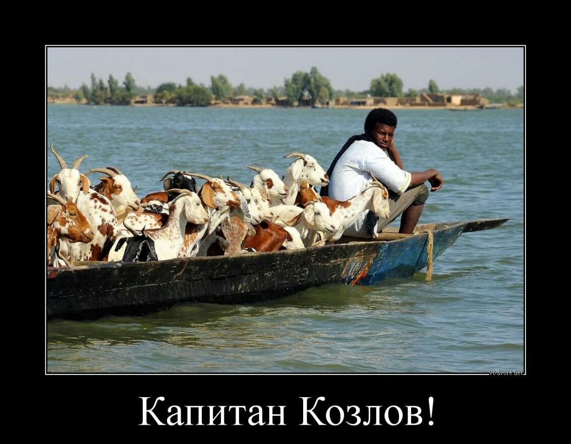 Капитан Козлов