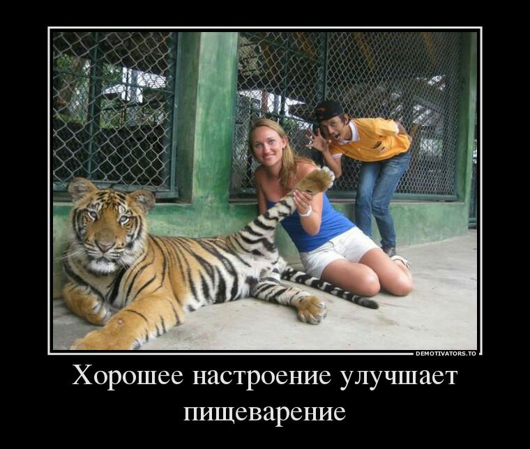 Хорошее настроение улучшает пищевареъше