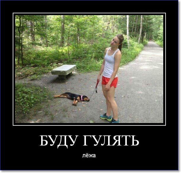 БУДУ ГУЛЯТЬ лёжа