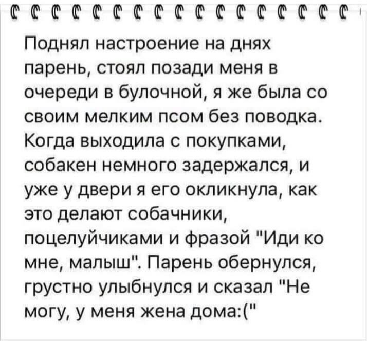 ФФФФФФФФФФФФФФФФФ Поднял настроение на днях парень стоял позади меня в очереди в булочной я же была со своим мелким псом без поводка Когда выходила с покупками собакен немного задержался и уже у двери я его окликнула как это делают собачники поцелуйчиками и фразой Иди ко мне малыш Парень обернулся грустно улыбнулся и сказал Не могу у меня жена дома