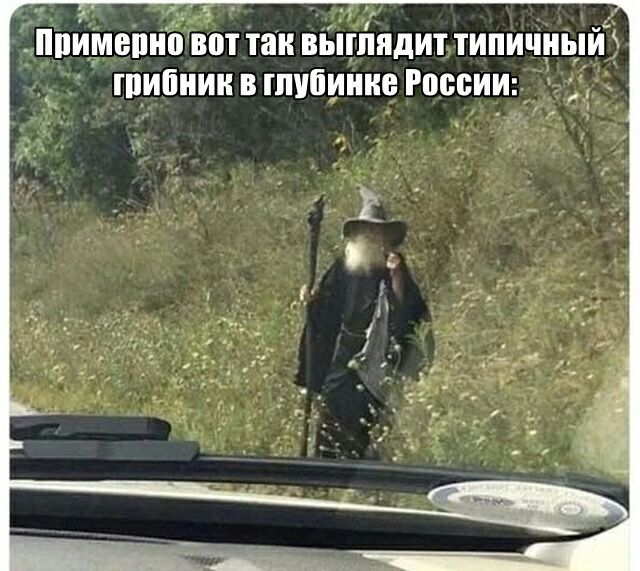пПИМВПНП вот так ВЫШПДИТ ТИПИШЬ