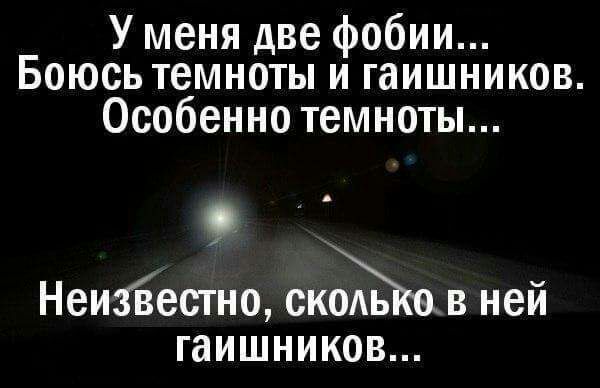 У меня две фобии Боюсь темноты и гаишников Особенно темноты Неийестно сколь _в ней гаишников