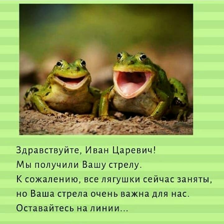 Здравствуйте Иван Царевич Мы получили Вашу стрелу К сожалению все лягушки сейчас заняты но Ваша стрела очень важна для нас Оставайтесь на линии