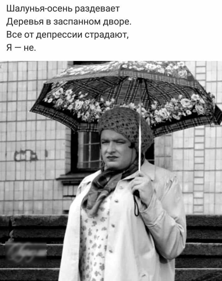 Шалунья осень раздевает Деревья в заспанном дворе Все от депрессии страдают Я не