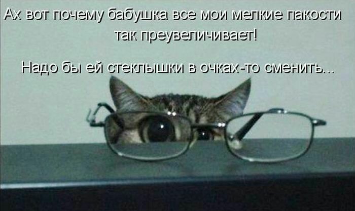 вот почему бабу щ а все мои вле пте пакости так преувщл пшагг Над О 0Ь ЭИ ГЭБЛЫШКИБ СЧіі Г0 СМЕНИТЬ