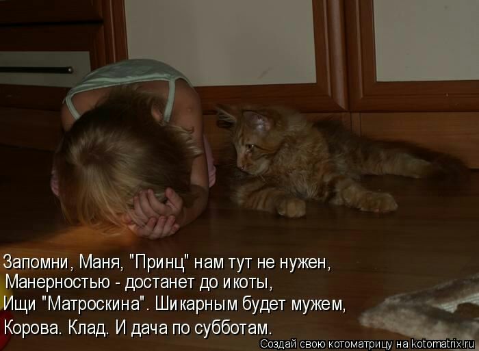 и Маня Принц нам тут не нужен анерностью достанет до и коты щи Матроскина Ши карным будет мужем Корова Кпад И дача по субботам Снздай сваю кшнматрицу неаКоттедж