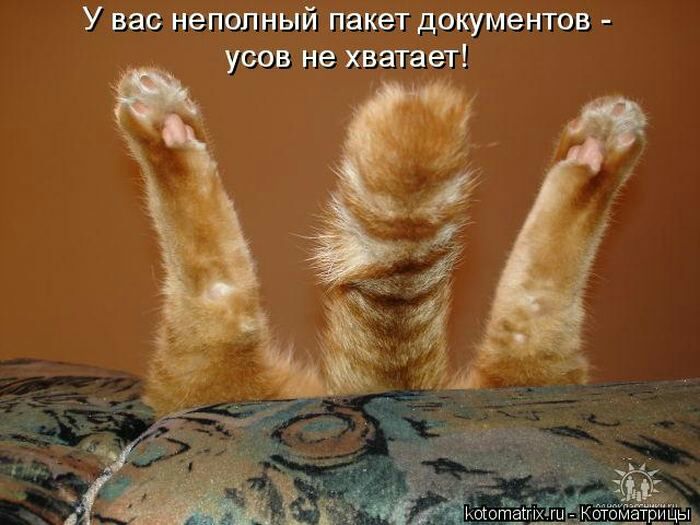 У вас неполный пакет документов усов не хватает