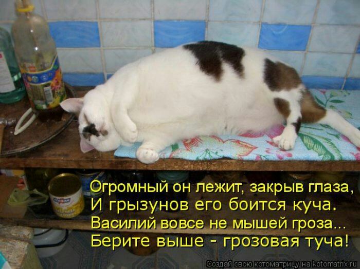 Огромный он лежит закрыв глаза И грызунов его боится куча Варщи гроза Берите выше грозовая туча ги