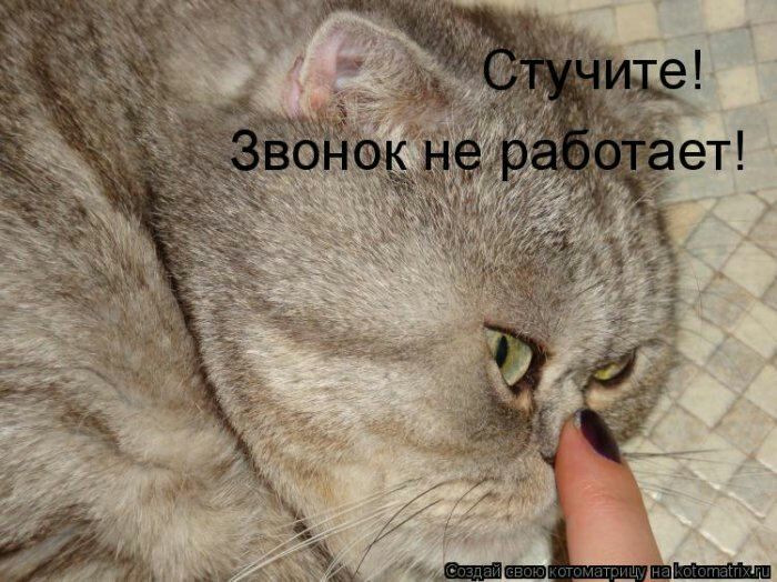 511 о