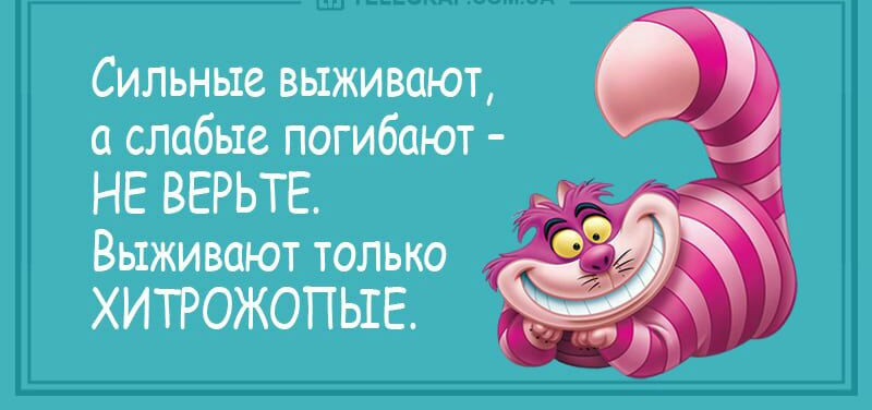 Сильные выживают слабые погибают НЕ ВЕРЬТЕ Выживают только ХИТРОЖОПЬШЕ