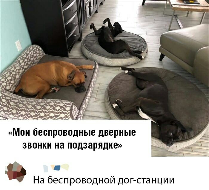 Мои беспроводные дверные звонки на подзарядка Ц На беспроводной догстанции