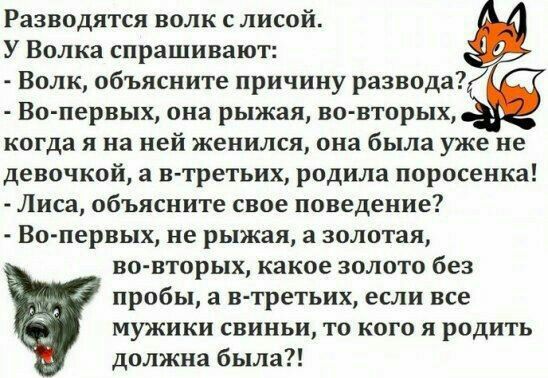 Разводится волк с лисой У Волка спрашивают Волк объясните причину развода Во первых она рыжая вовторых когда я на ней женился она была уже не девочкой а в третьих родила поросенка Лиса объясните свое поведение Вопервых не рыжая а золотая во вторых какое золото без пробы а в третьих если все мужики свиньи то кого я родить должна была